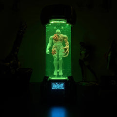 DEKORK T002 IN CONTAINMENT CHAMBER LAMP