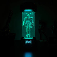 DEKORK T002 IN CONTAINMENT CHAMBER LAMP