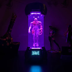 DEKORK T002 IN CONTAINMENT CHAMBER LAMP