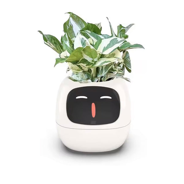 DEKORK SMART PLANT POT